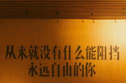佛罗伦萨稳扎稳打，追求更上层楼的简单介绍